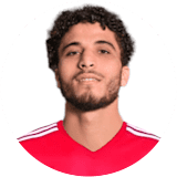 زغلول محمد الدسوقي