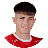 Santino Viollaz