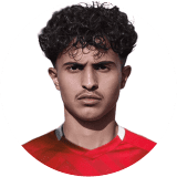 نايف المطيري
