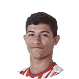 Marcelo Rolón