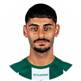 إيرين دينكجي
